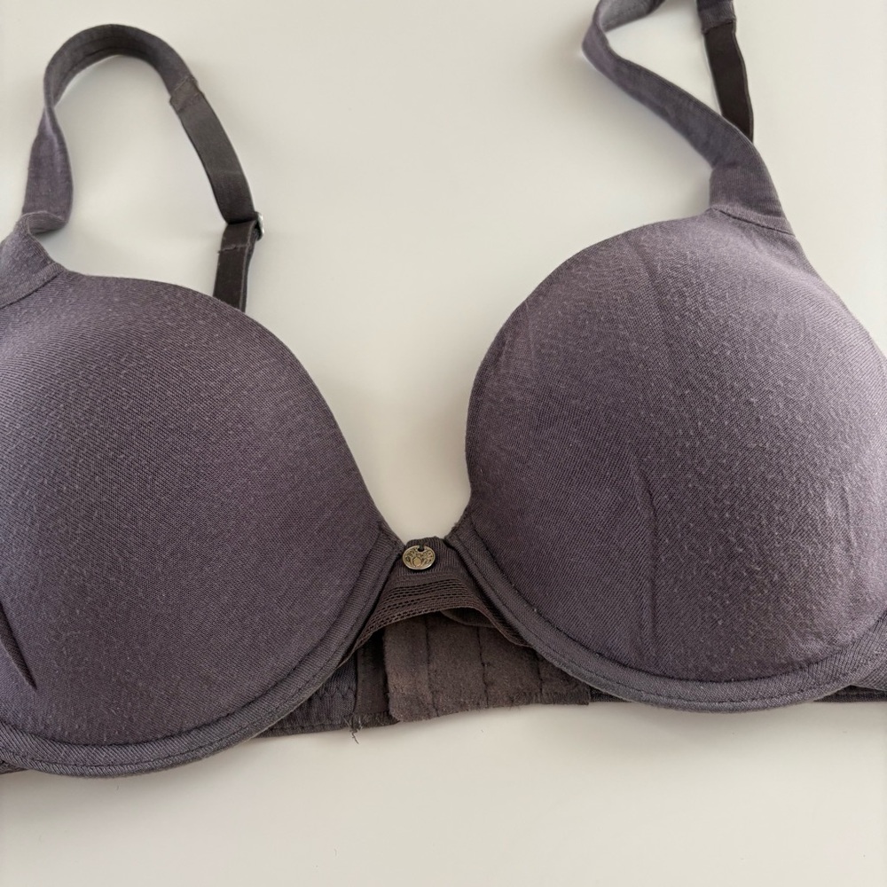 Natori Gray Bra